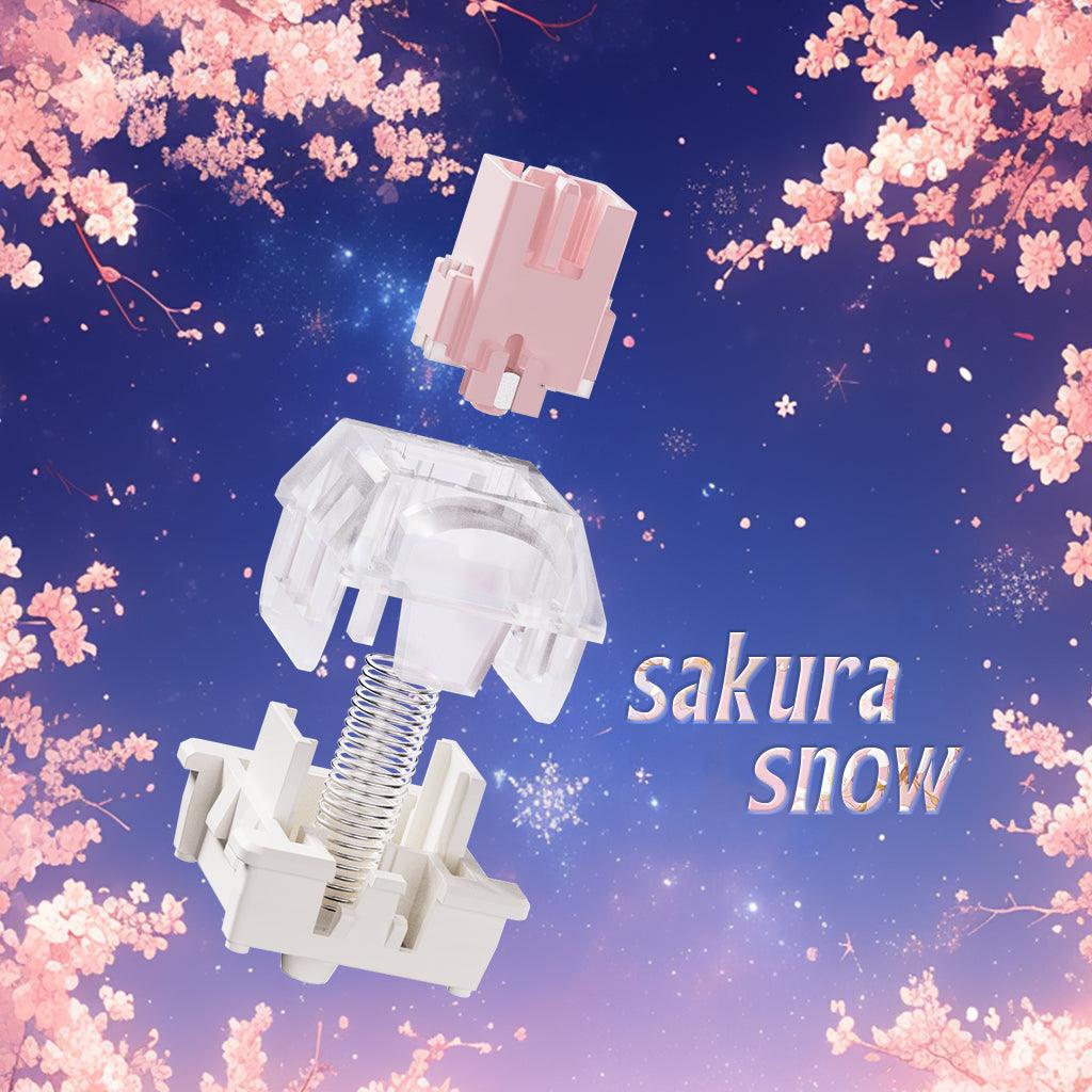 36/50/86 Pcs RAESHA Magnetic Switch - Image 16